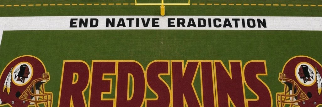 Save Our Native Souls's banner