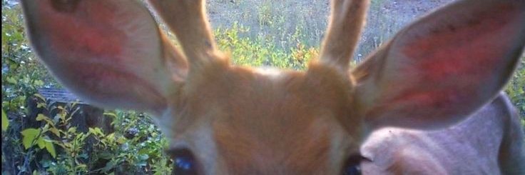 ♡'s banner