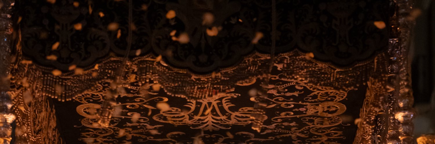 Misericordia Málaga's banner