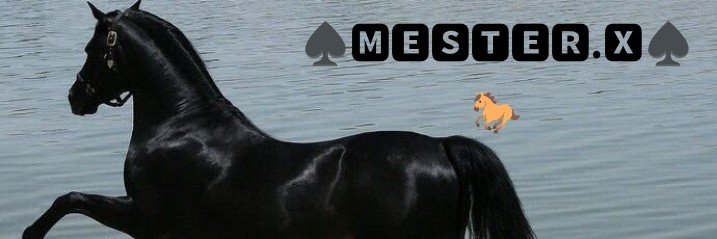 ♠🅜🅔🅢🅣🅔🅡.🅧♠🐎's banner