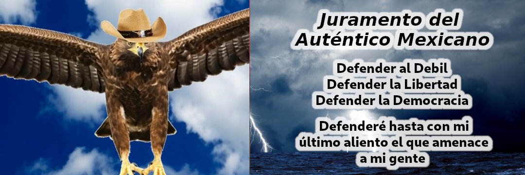 Ayo LópezVital's banner