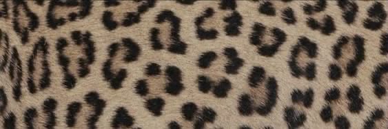 Kat ★'s banner
