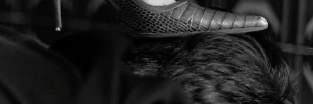 RealMidnight Angel🪽's banner