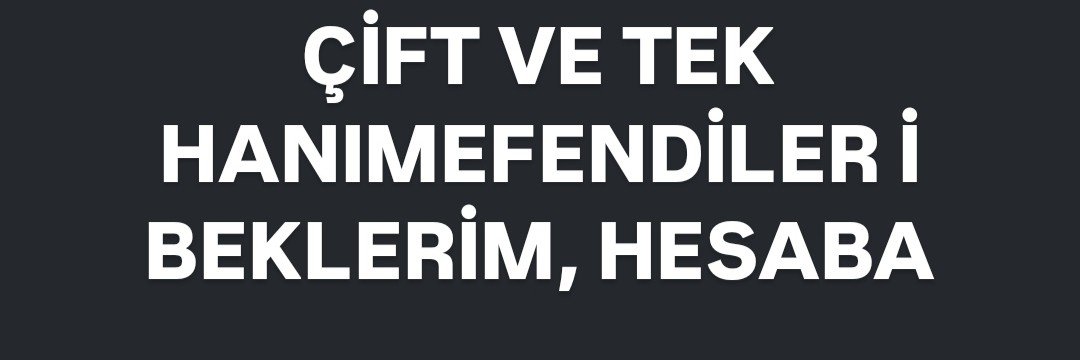 Bursa Beyi Erkan's banner
