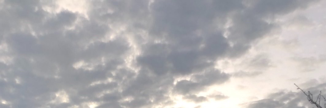 巨乳が大好き's banner