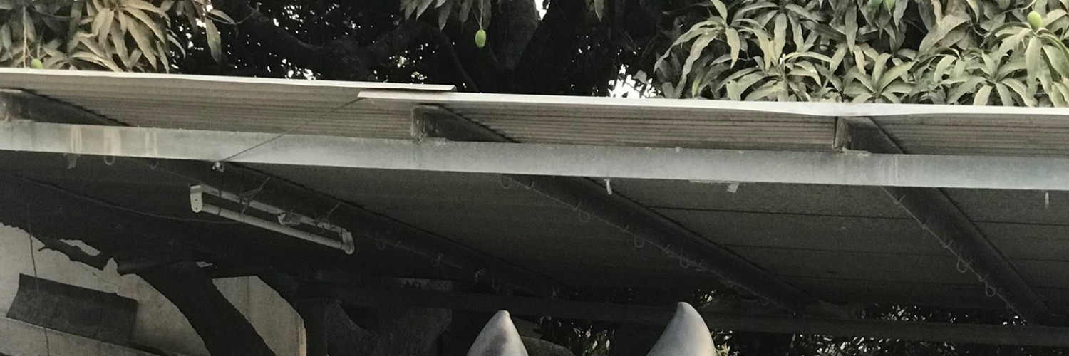 Soulmate20's banner