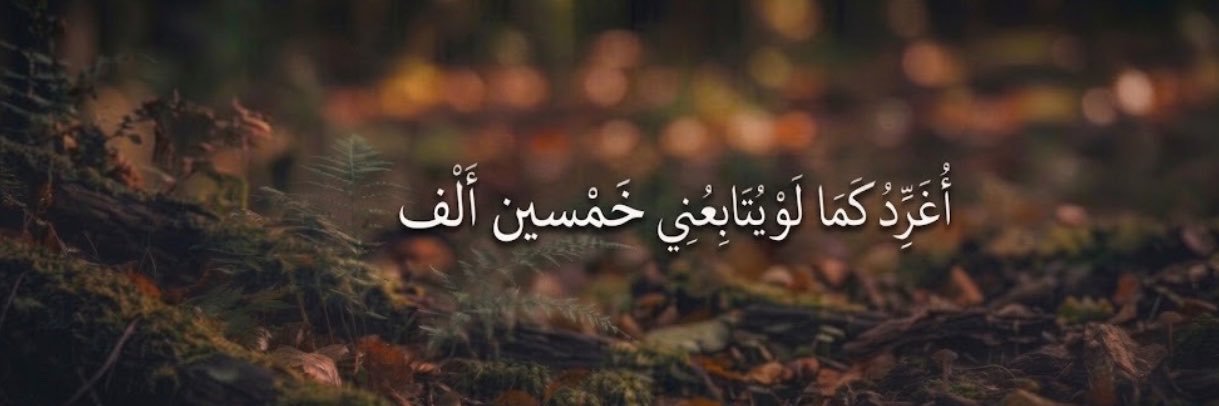 النادرة ᥫ᭡'s banner