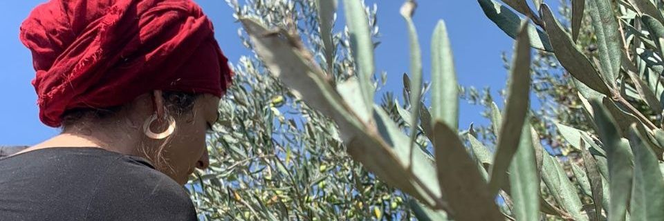 קול רבני לזכויות אדם's banner