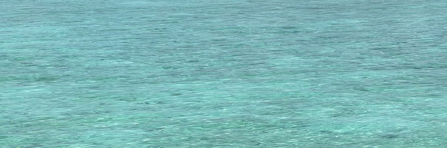 라이🐳's banner