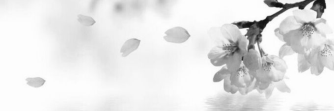ｌｏｔｕｓ's banner
