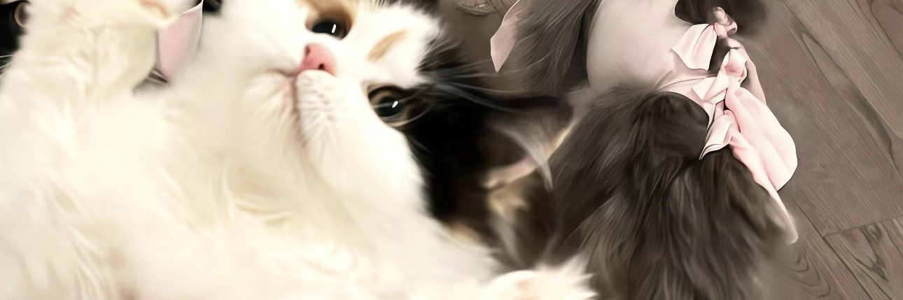 小猫日记's banner