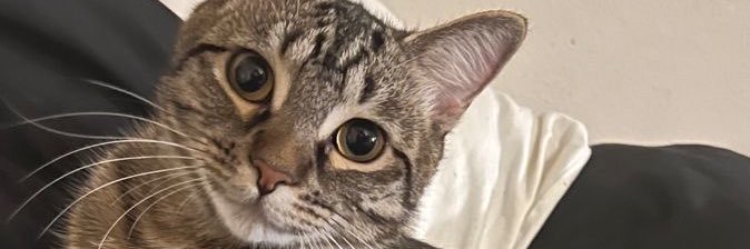 Maryelee24_'s banner