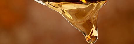 HoneyInBoots's banner