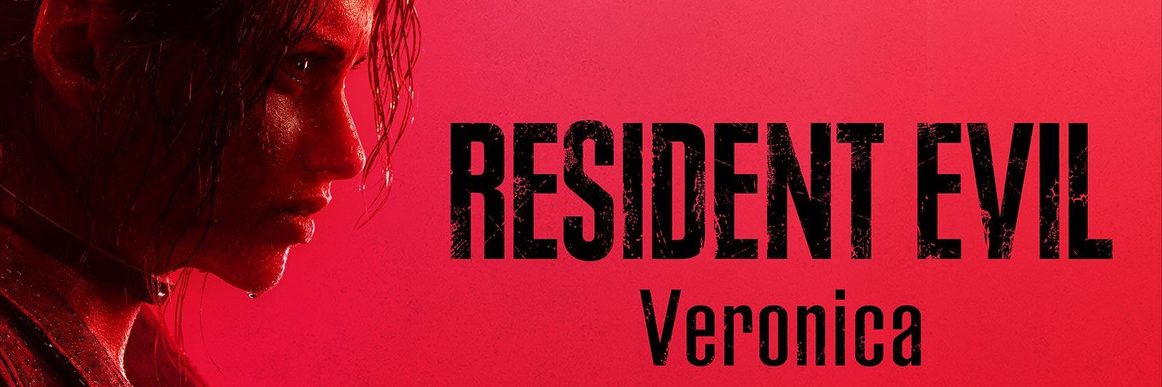v's banner