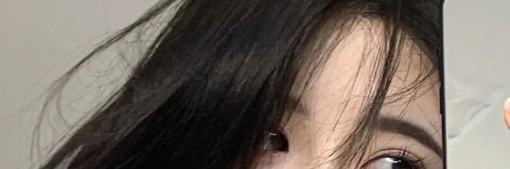 Vyxen♡'s banner