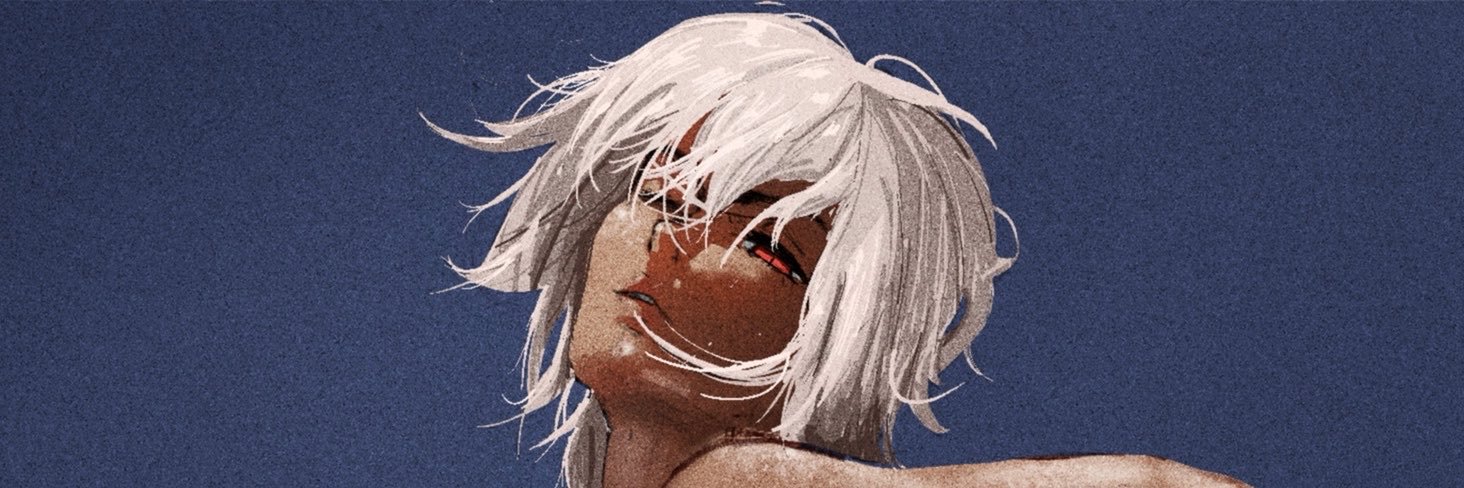Sonderr's banner