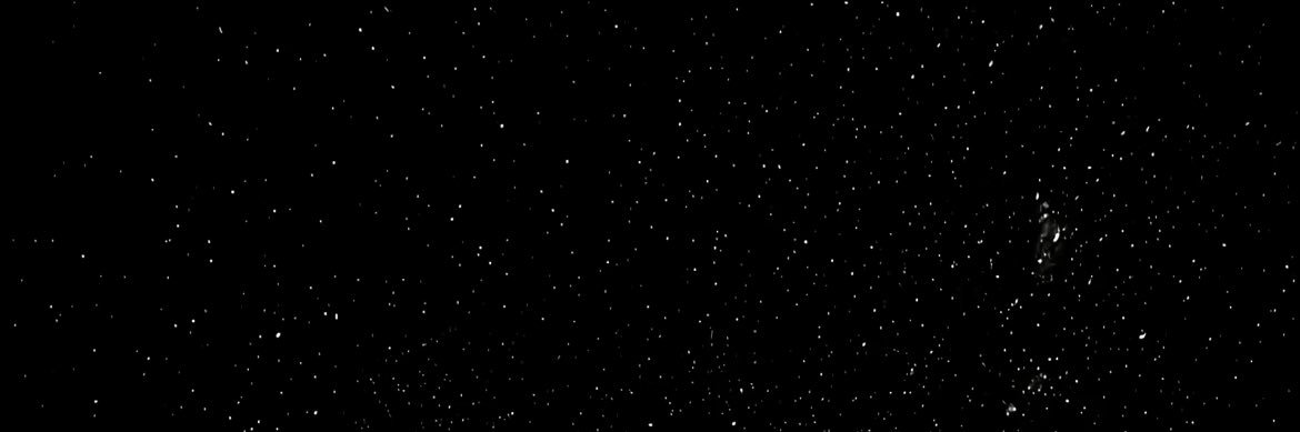 Mi's banner