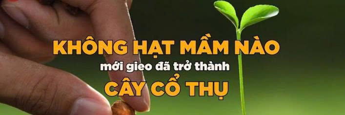 Thảo Vy's banner