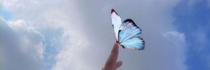 نون١'s banner