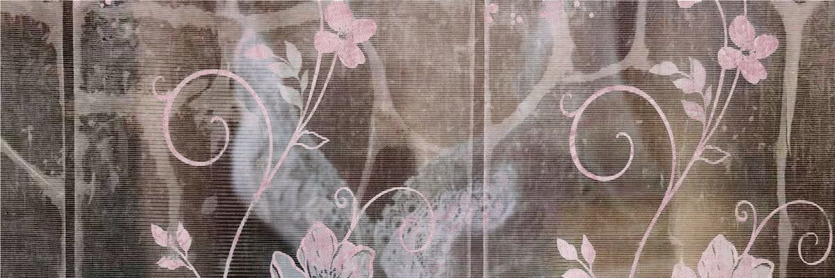 lizzie's banner