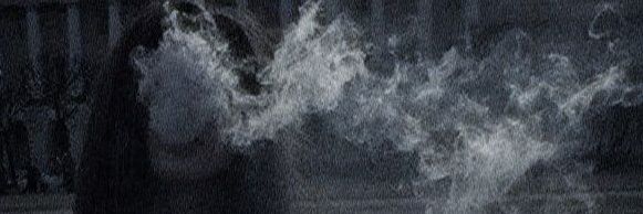 Viola's banner