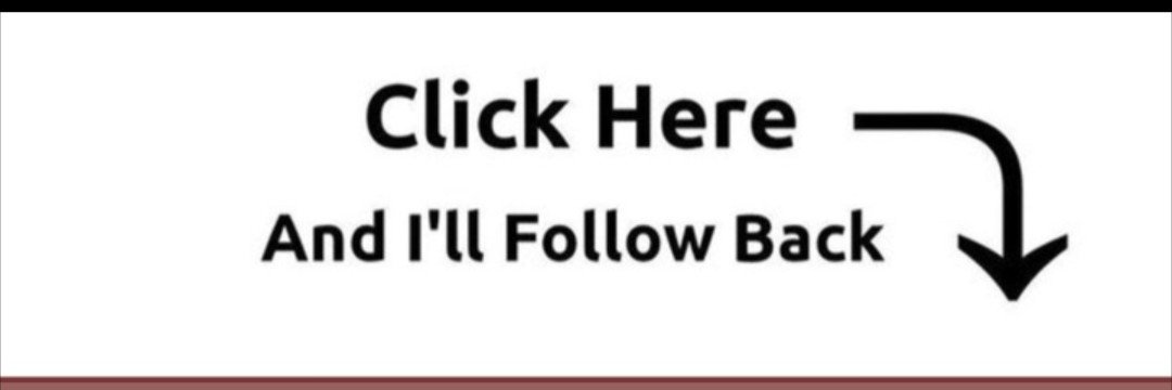NULL SIMILLE's banner