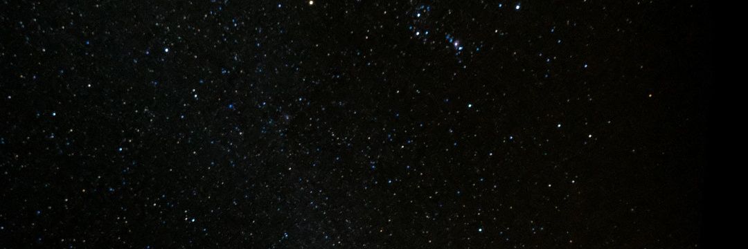 WWE Girls and Celebrities's banner