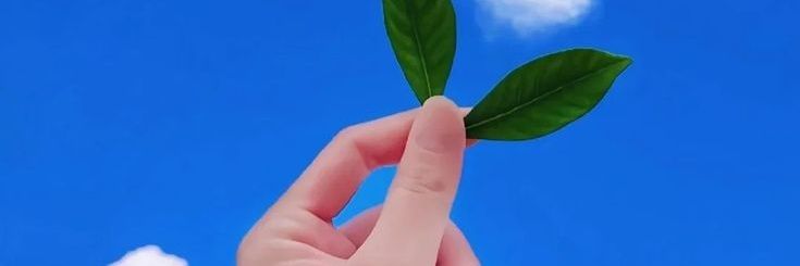 𓆩IshqPari𓆪's banner