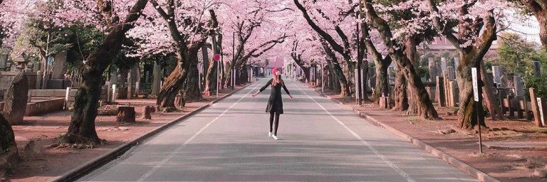 Sakura Chan's banner