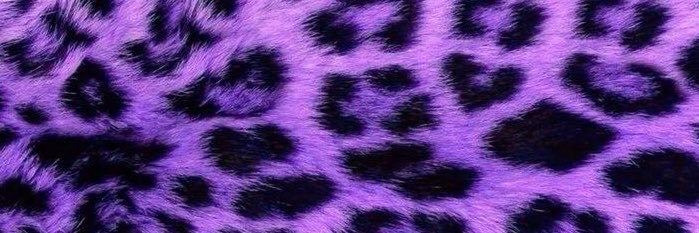 💜's banner