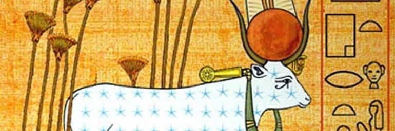 das Lurv grenoulie's banner