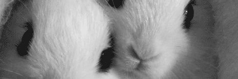 mimi ⋰˚♡'s banner