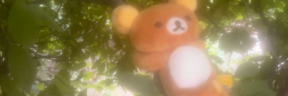 jjuchu's banner