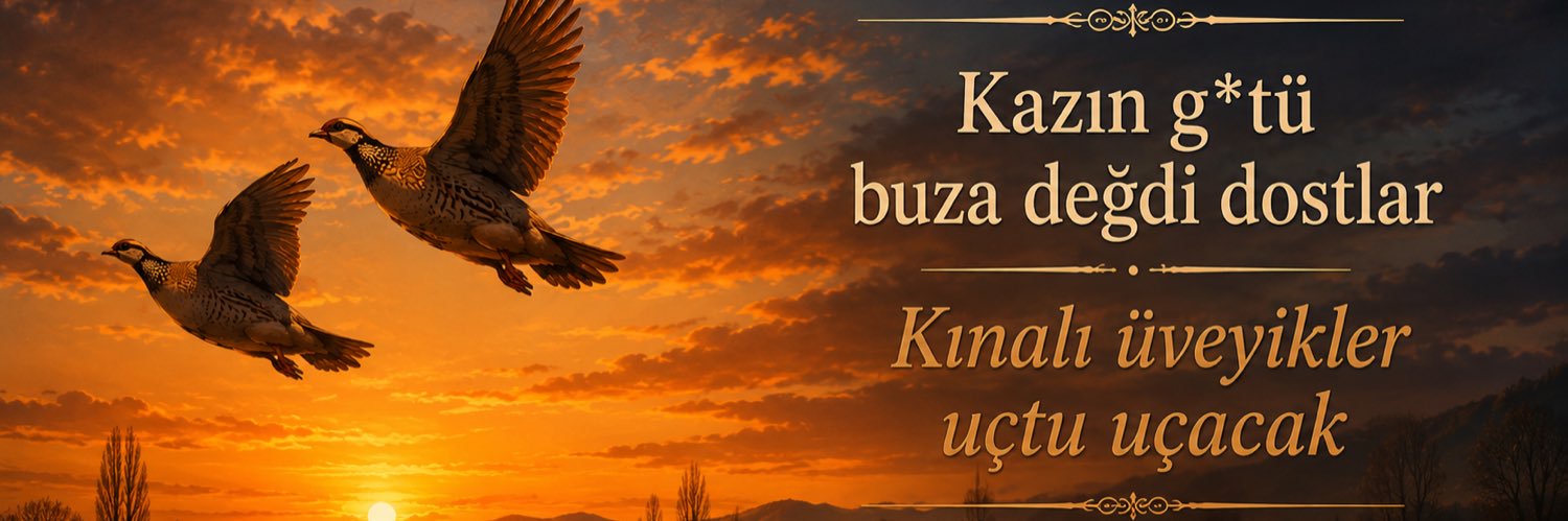 DAVUT DAYI's banner