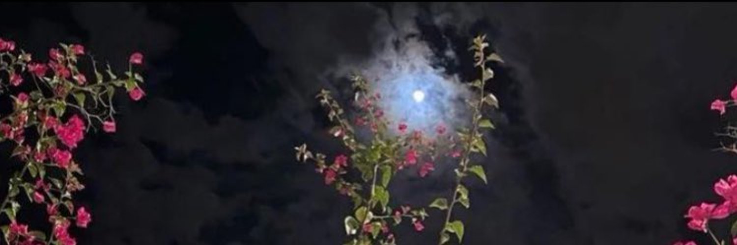 بنت اليمن's banner