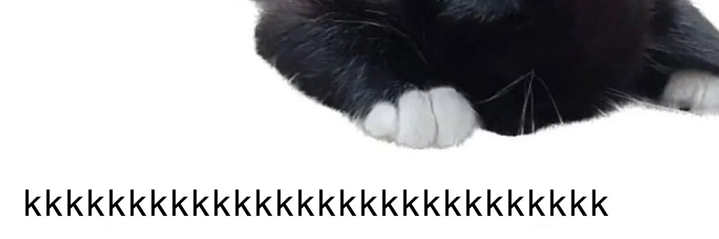 mario kart's banner