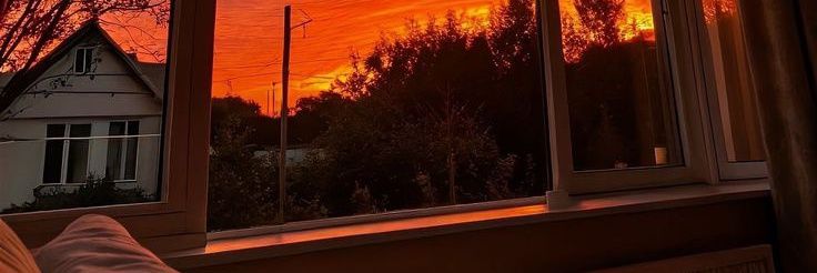 🌿's banner