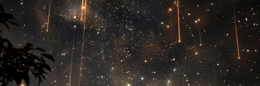 Starlit Pages's banner