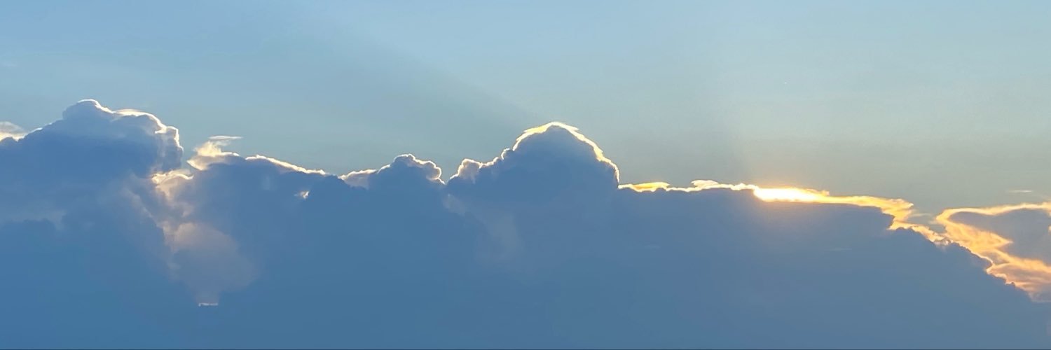 羊毛 | ขนแกะ's banner