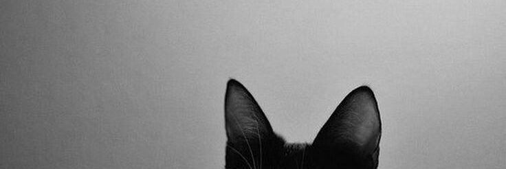 ficx | au loquinha's banner