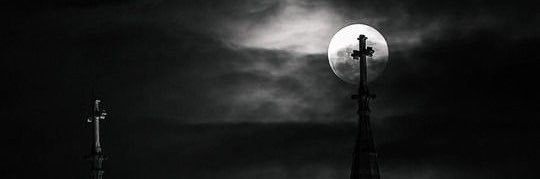 🐈‍⬛'s banner