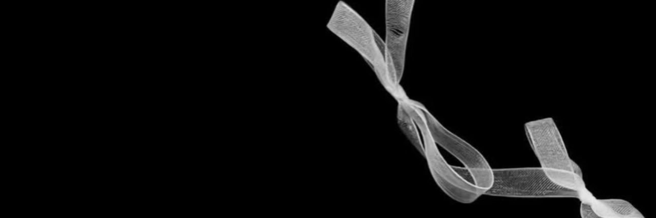 𝑳𝑨𝑵𝑫's banner