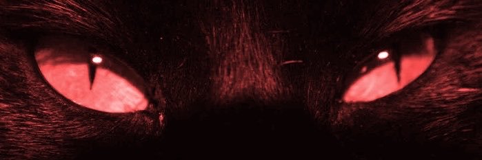 𝑒𝑛ℎ𝑎𝑙𝑢𝑟𝑒 𓆰𓆪's banner