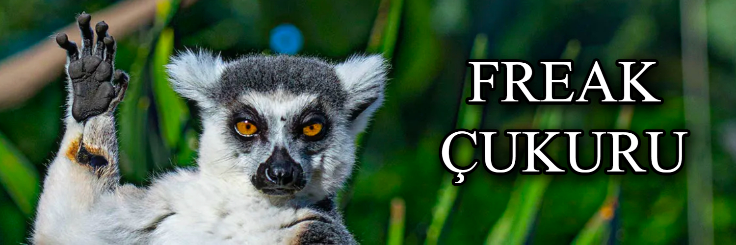 Freak Çukuru's banner