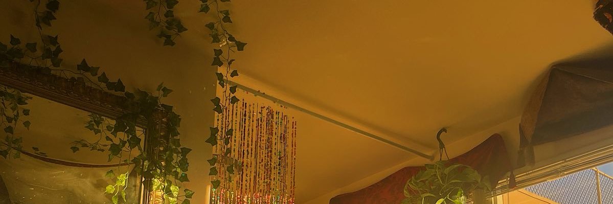 princess 🥰's banner