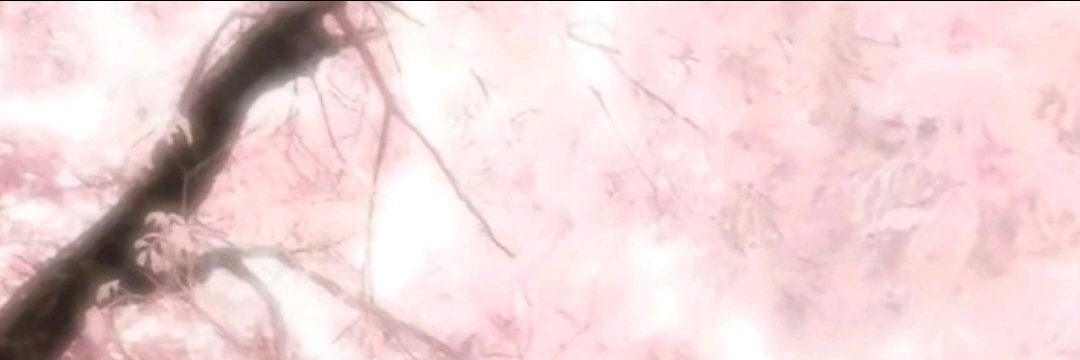 Sakura's banner