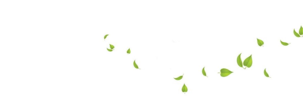 ִִ𓈒 ༷ 𑣿ྀིྀ𓈒ֺ Fran , ,'s banner