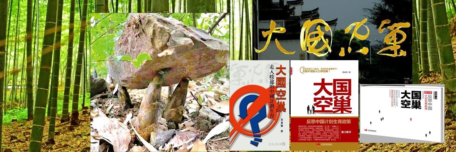 易富贤Yi Fuxian《大国空巢》's banner