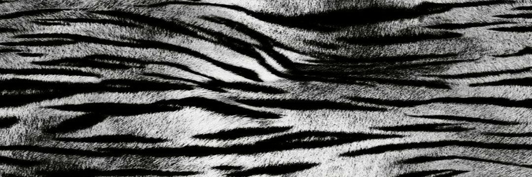 leora ༘𓍼 #deathofme's banner