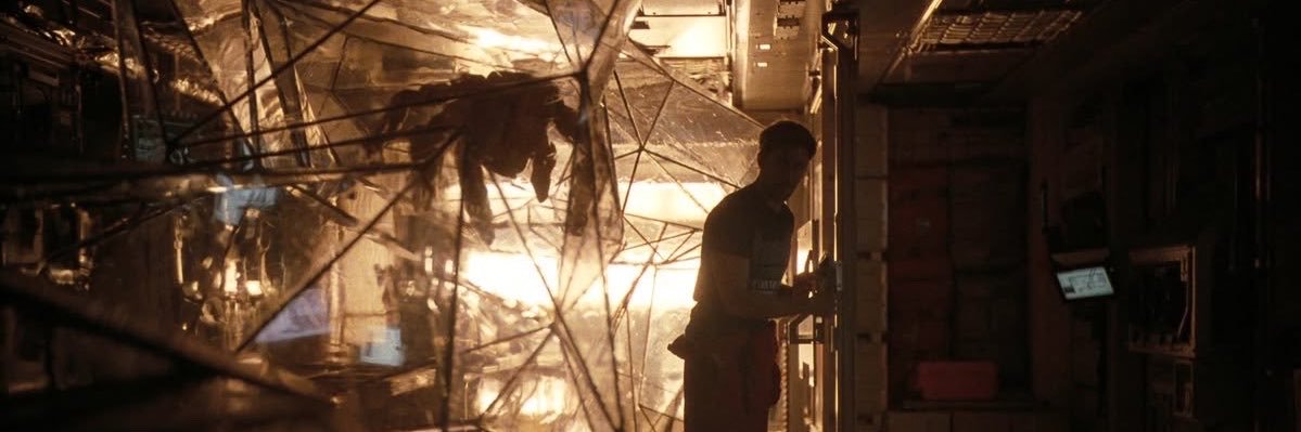 টaara🕷️'s banner